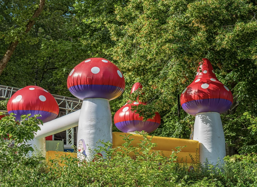 Inflable grande para fiestas y eventos | La Hormiga Play