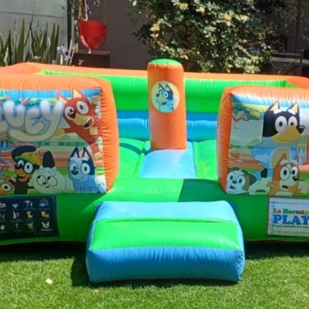 Inflable Q Box Bluey