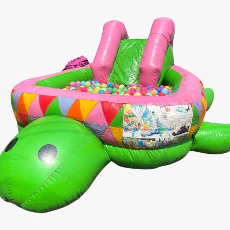 Juego de pelotas con forma de tortuga para bebés.